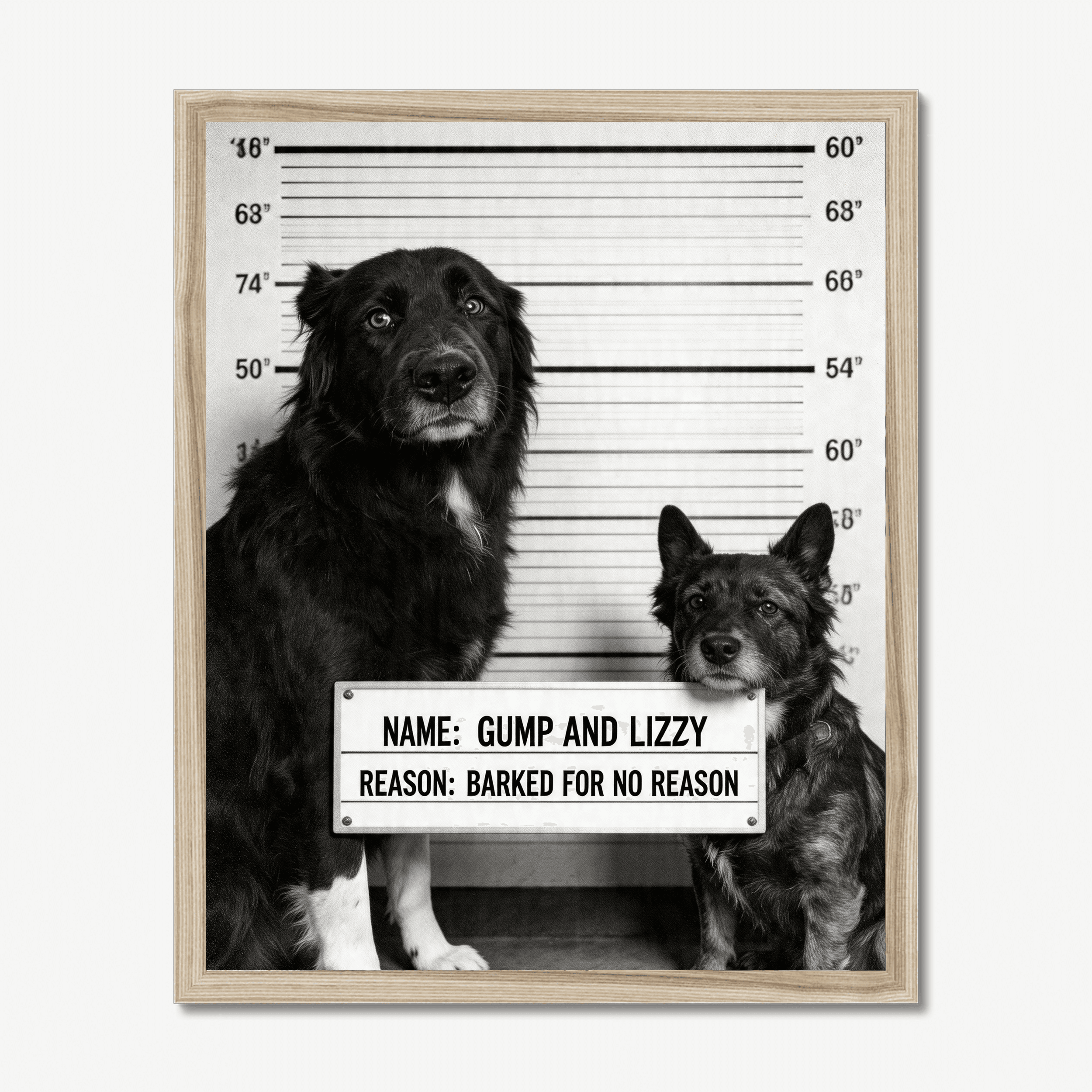 Pet Mugshot Poster
