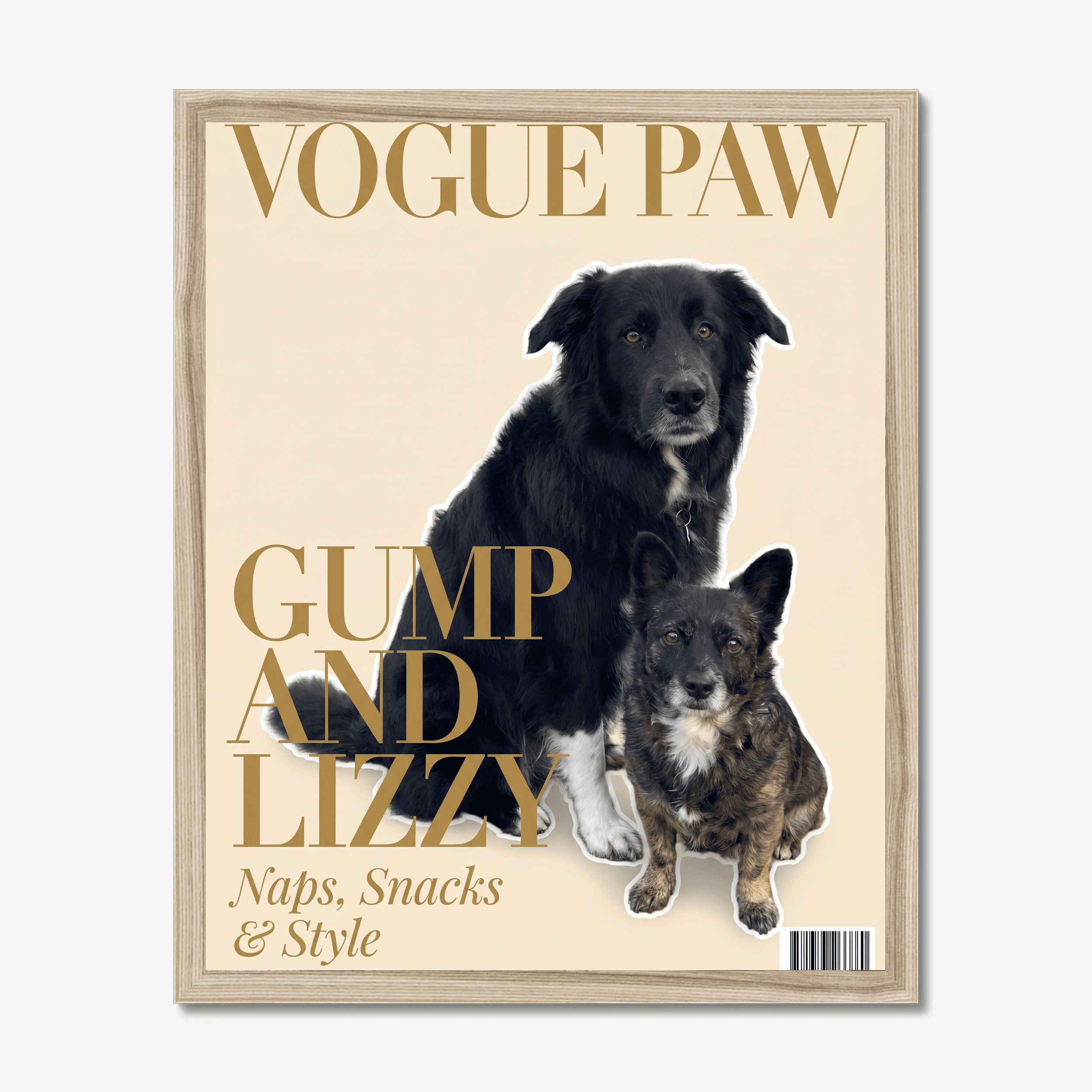 Vogue Paw Cover